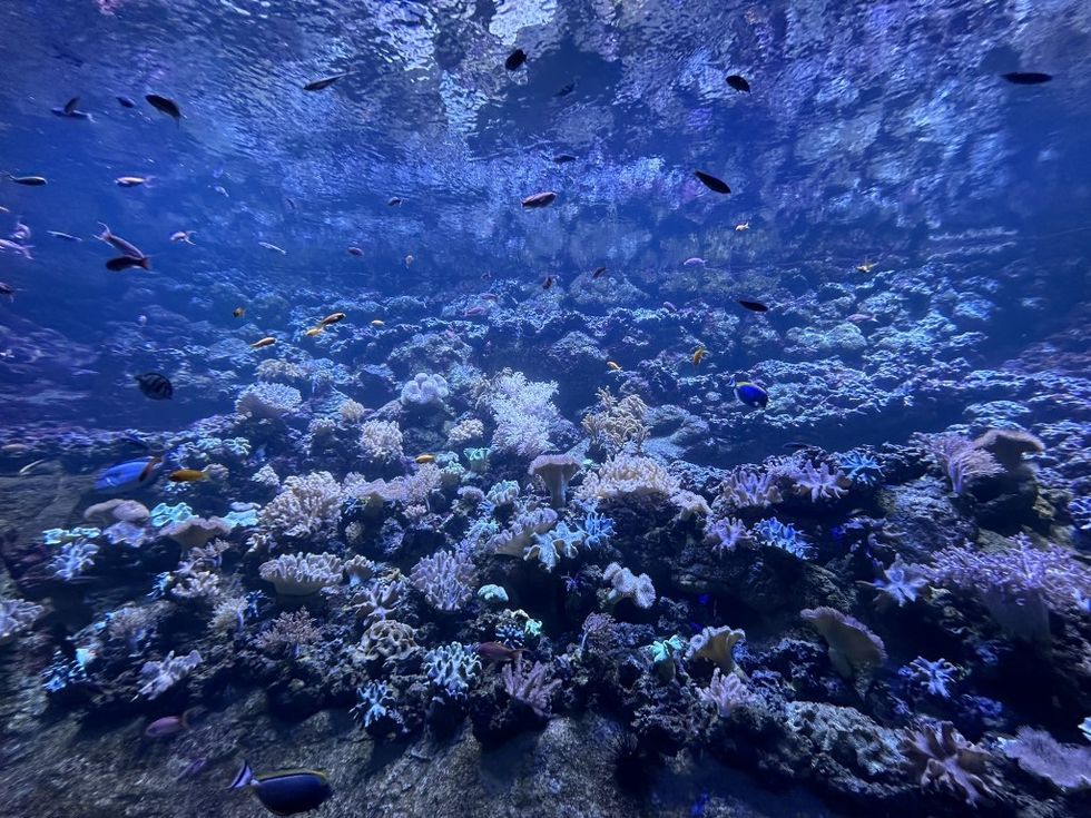 MAT Filtration Technologies SeaWorld Abu Dhabi