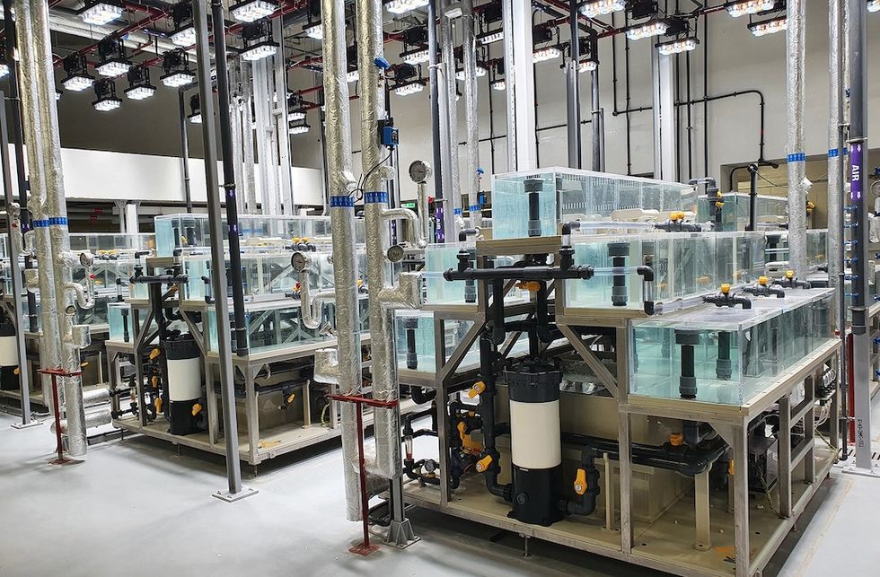 MAT Modern aquarium filtration Systems