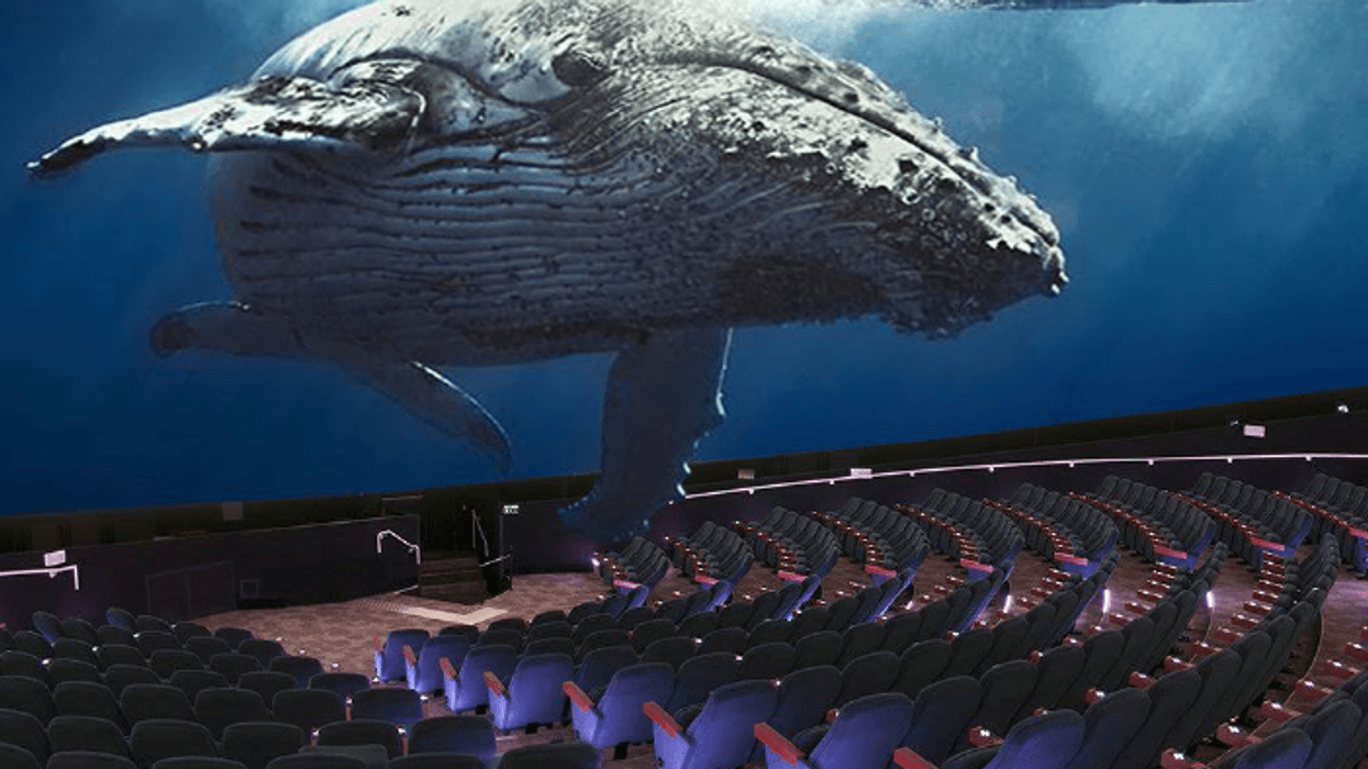 Maui Ocean Center dome theatre rendering