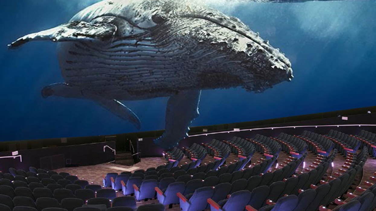 Maui Ocean Center dome theatre rendering