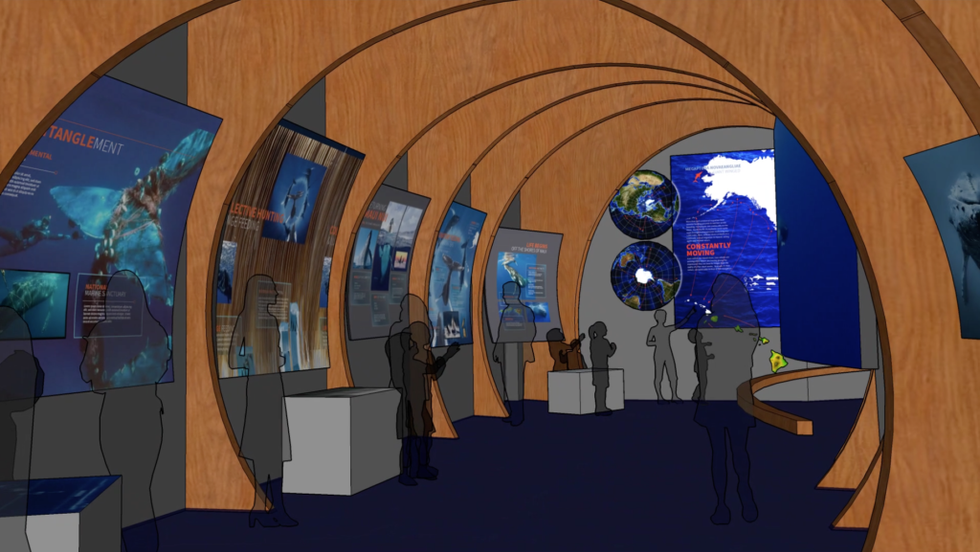Maui Ocean Center whale exhibit rendering.