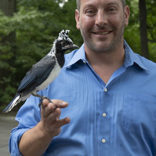 Max Pulsinelli headshot