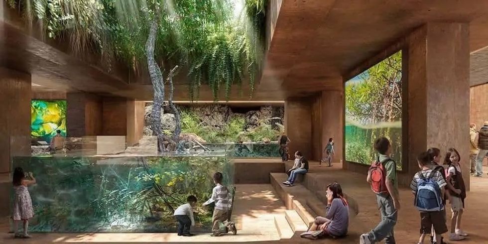 MAZATLAN-New-Aquarium rendering