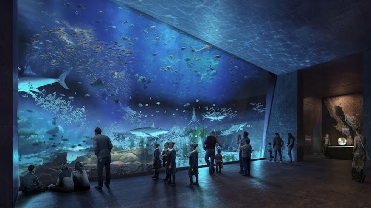 mazatlan-new aquarium