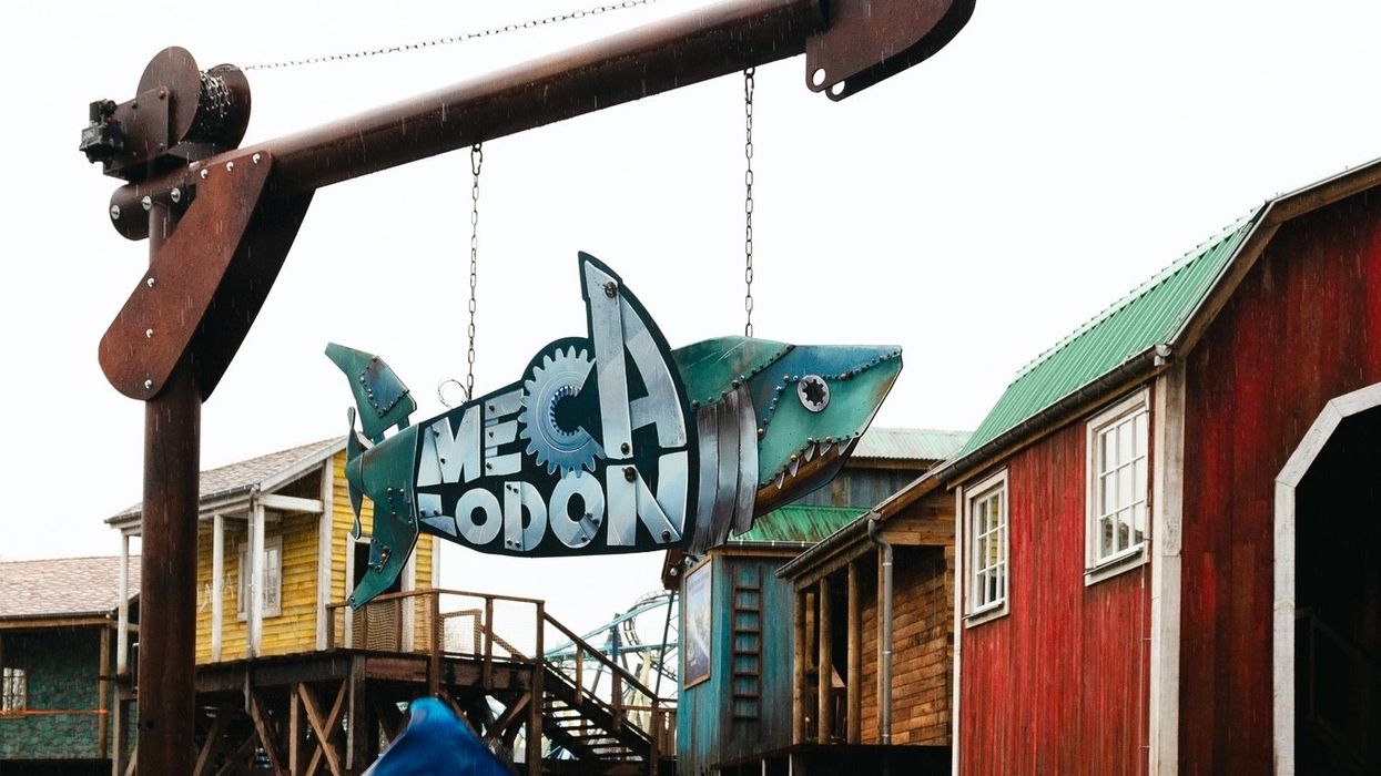 mecalodon coaster walibi