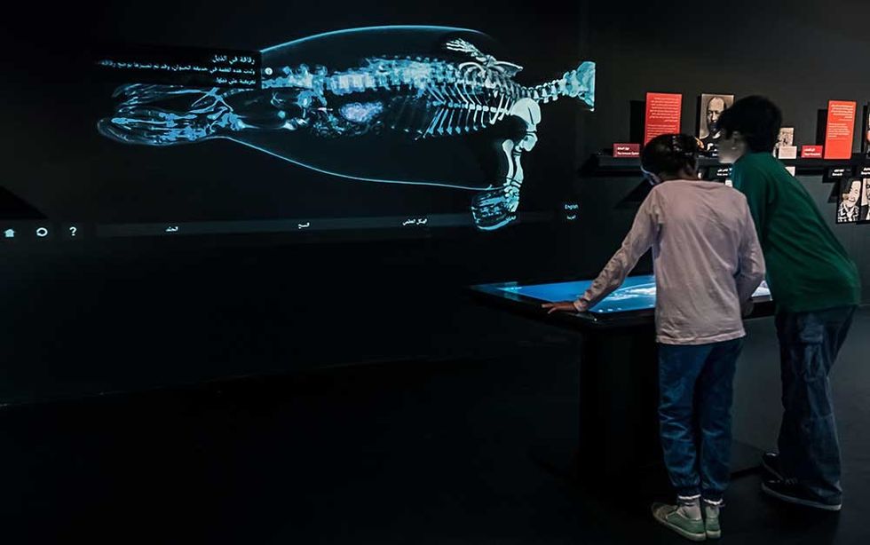 medicine exhibition dubai 2016 exploring life Nobel Museum