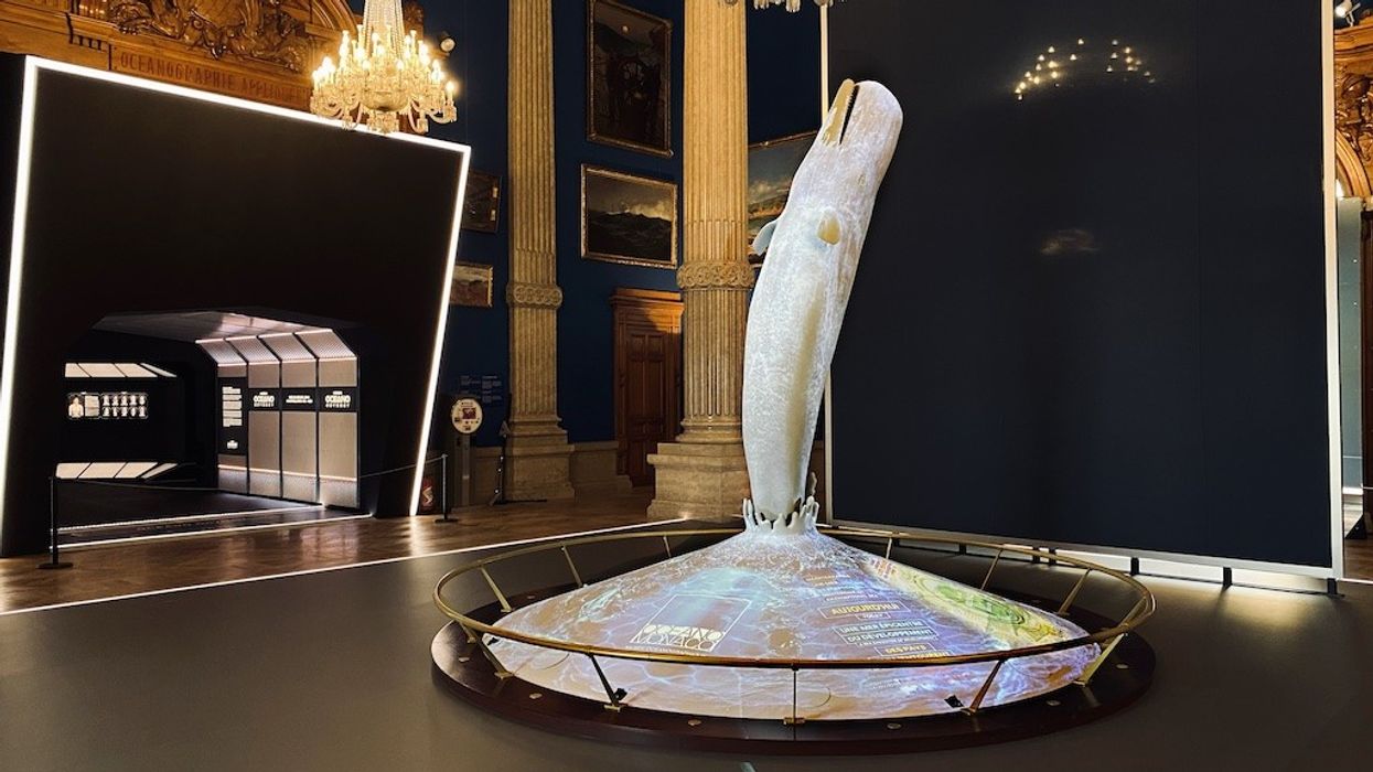 “Mediterranean 2050” exhibition at the Oceanographic Institute of Monaco