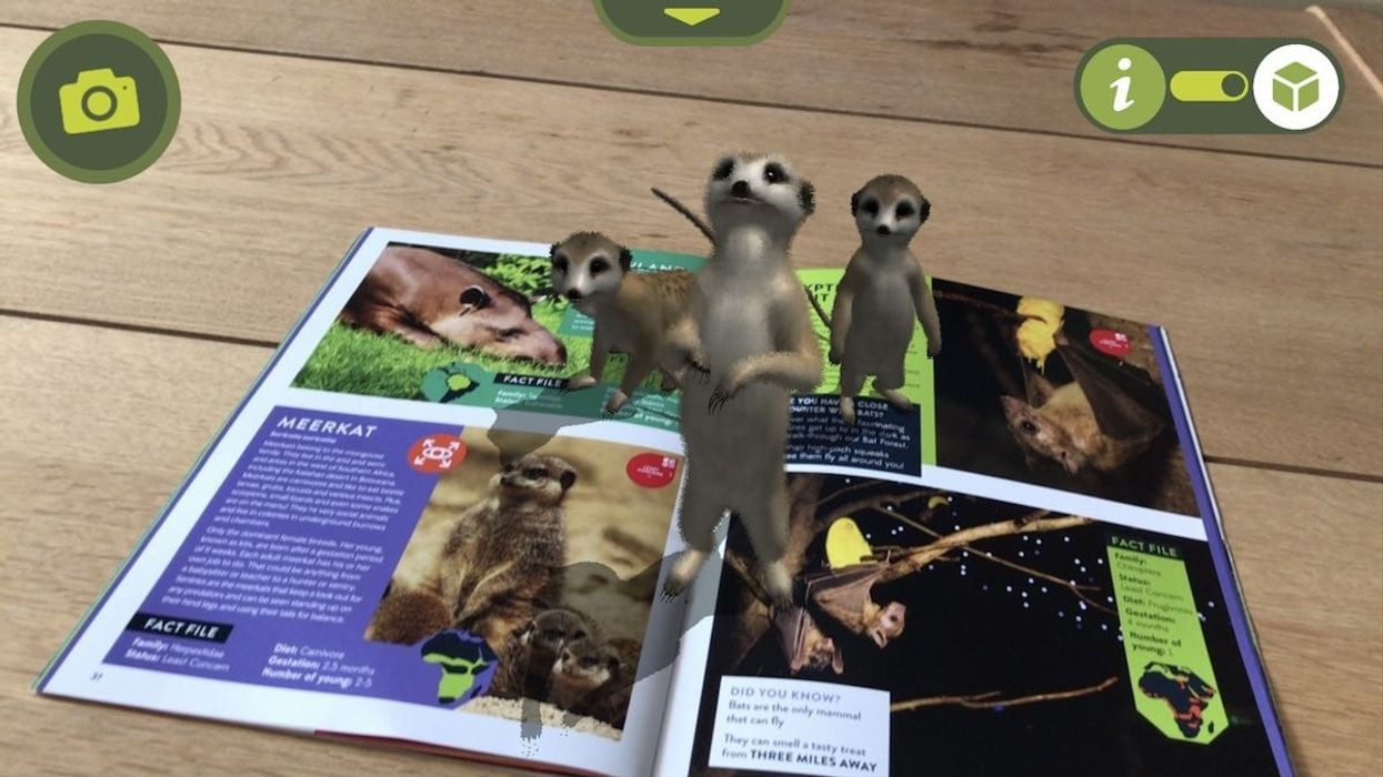 meerkats knowsley safari guidebook AR Safari