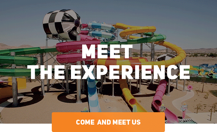 Meet the experience Polin