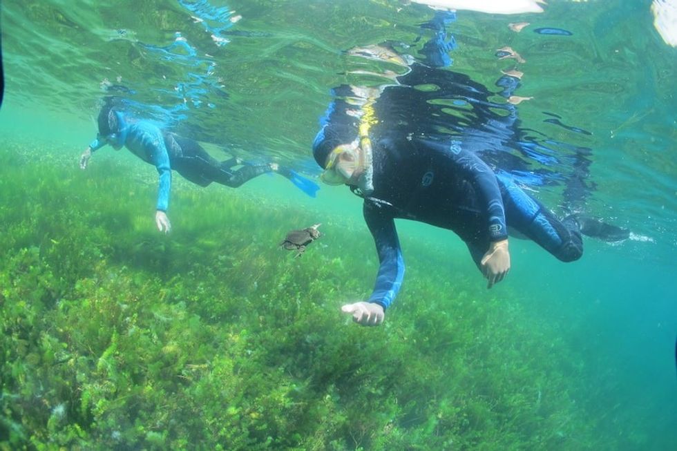 Members of the Kansas City zoo team doing conservation work in Bolivia