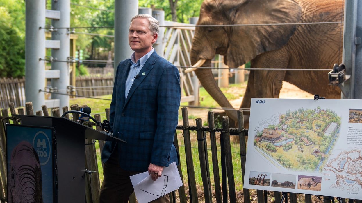 memphis zoo first phase