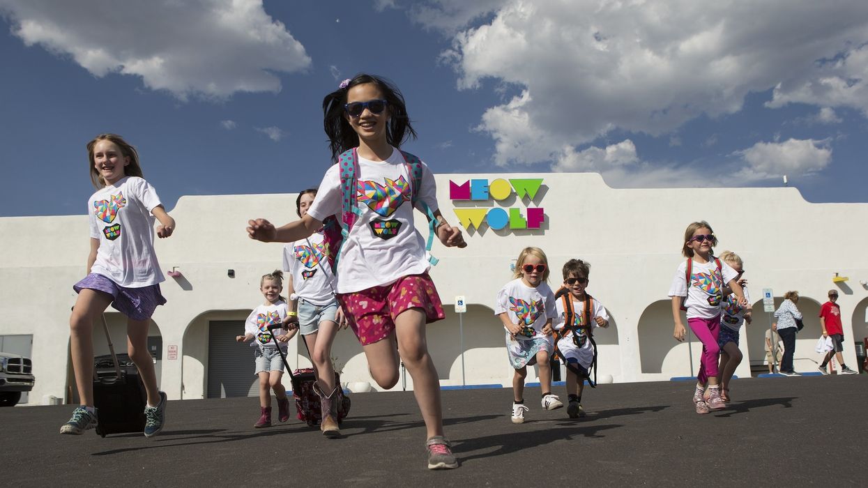 meow wolf foundation