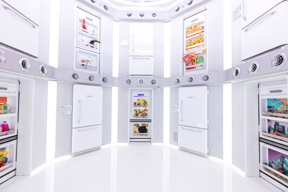 Meow Wolf Fridges