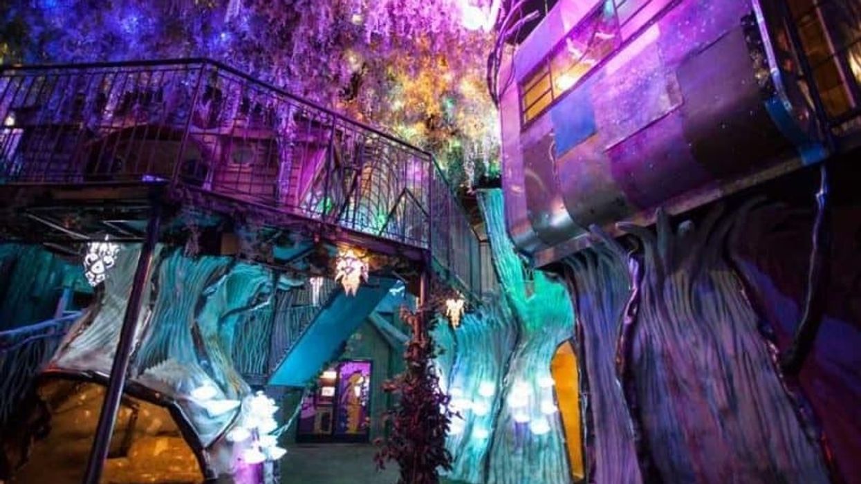 Meow Wolf House of Eternal Return
