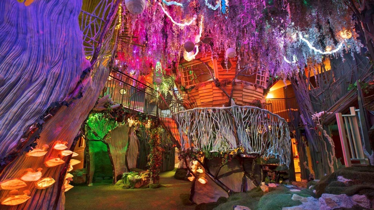 Meow-Wolf installation
