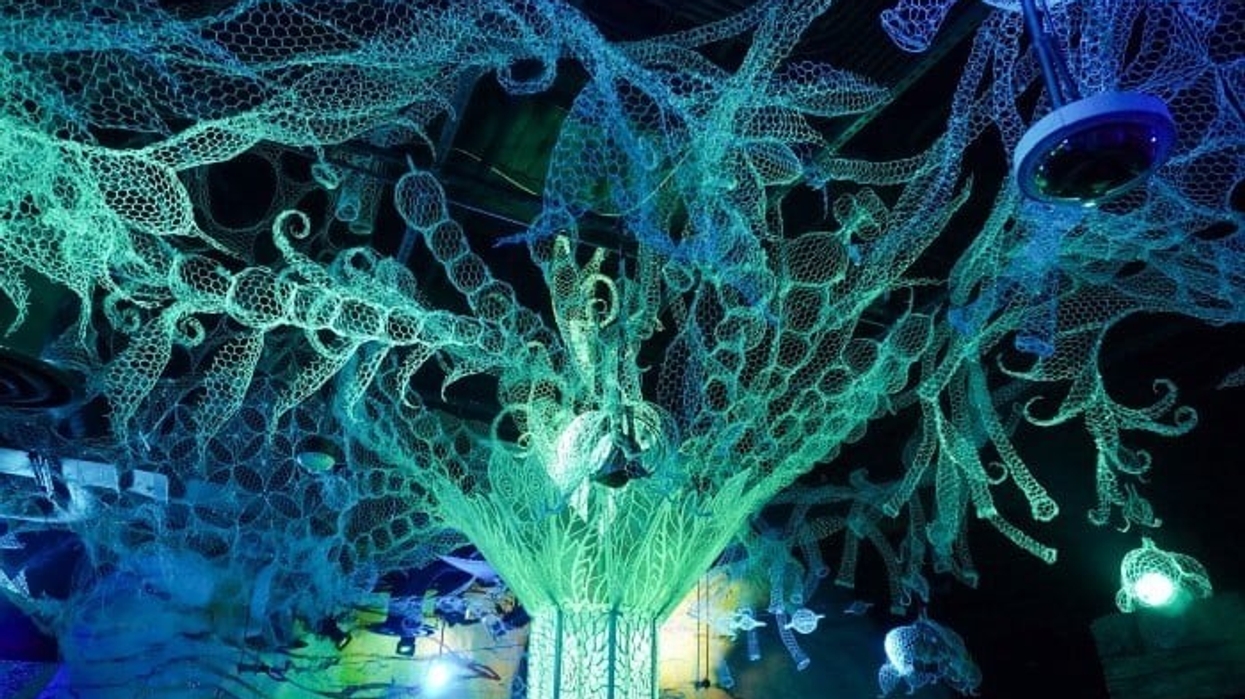 Meow Wolf Omega Mart C Bueno