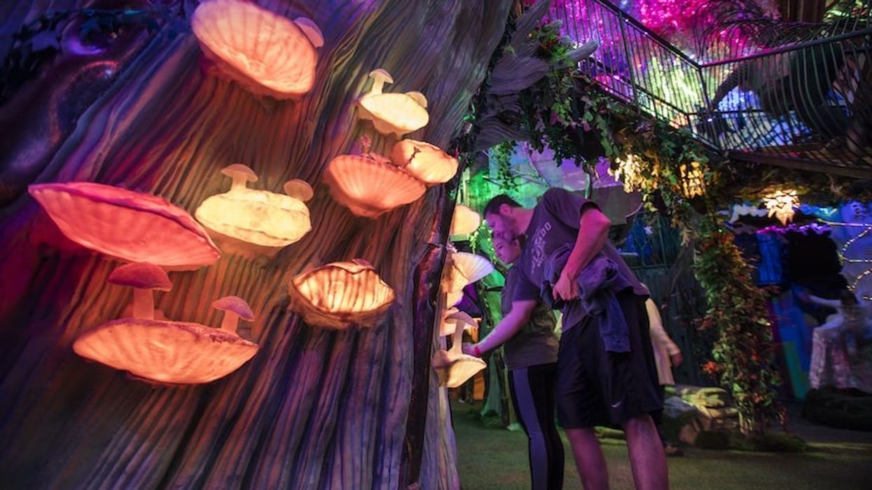 Meow Wolf's House of Eternal Return