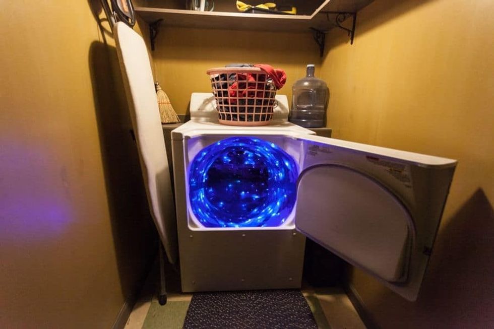Meow Wolf slide immersive trend