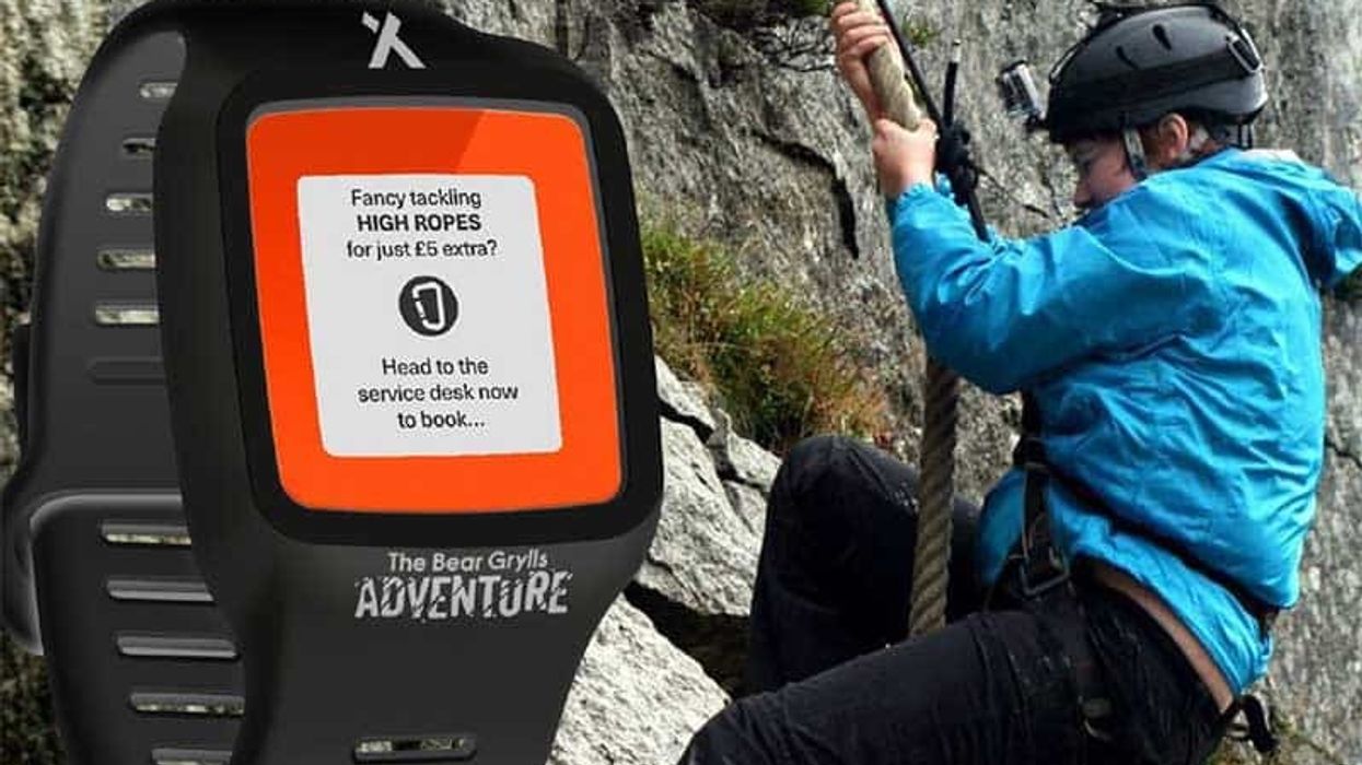 Merlin Digital Bear Grylls