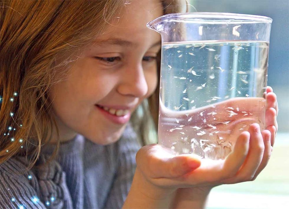 merlin entertainments HSS safety sealife