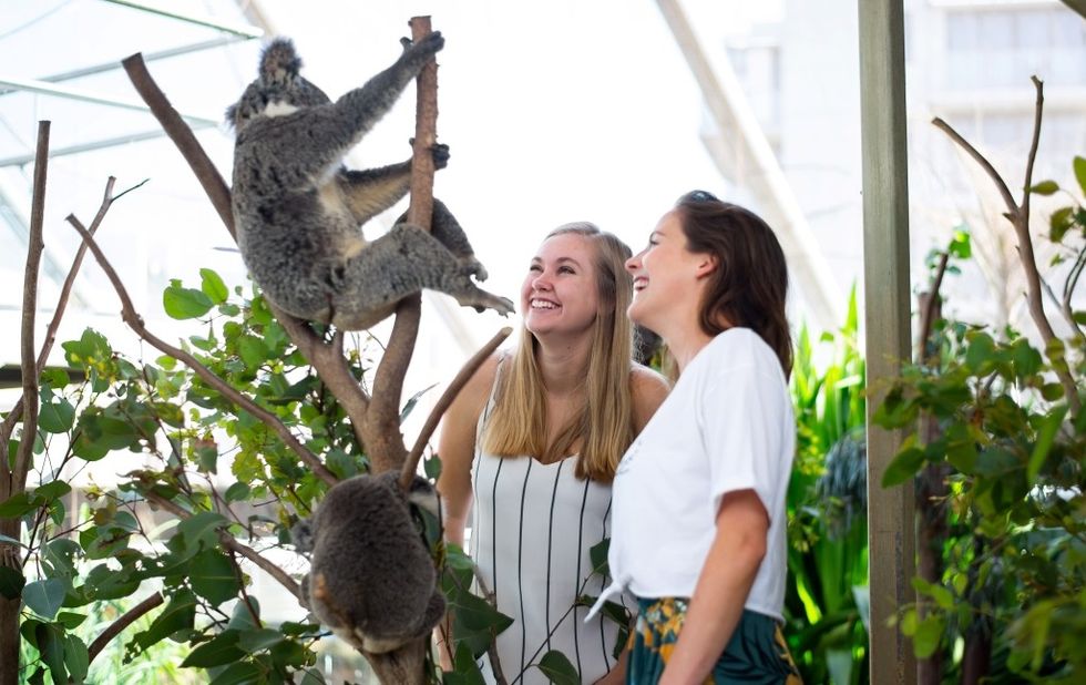 Merlin Entertainments wild life sydney zoo