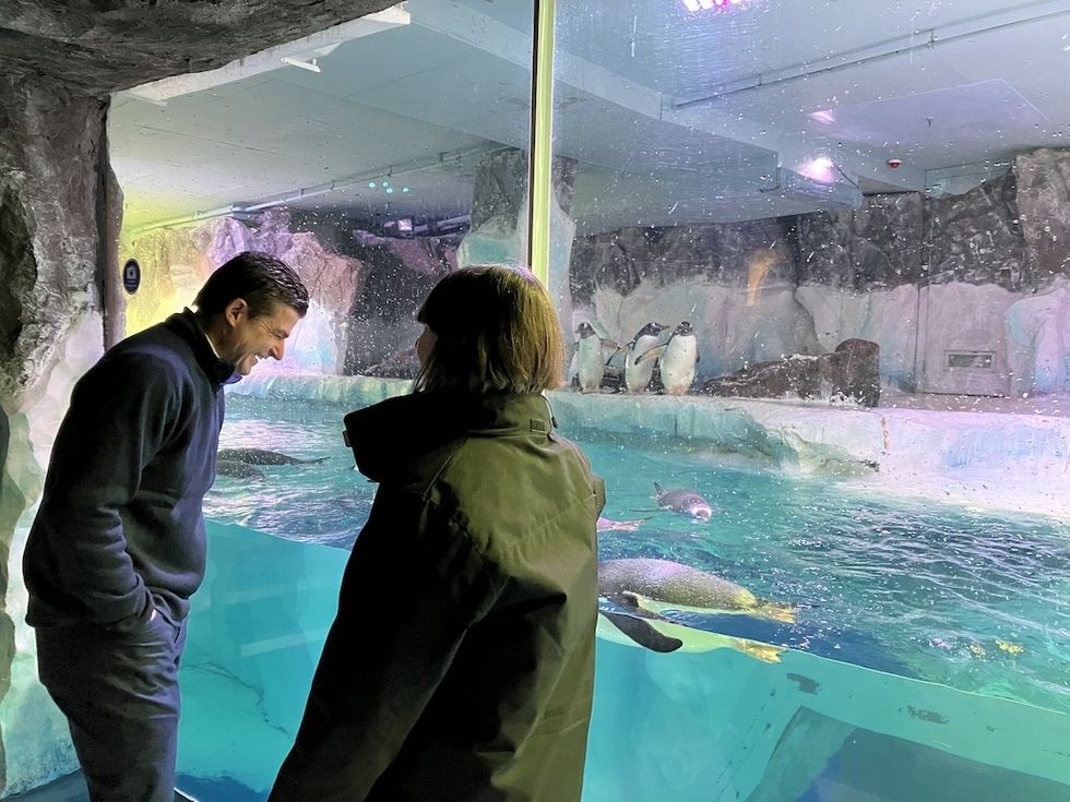 Merlin's CEO Scott O'Neil meets penguins at SEA LIFE