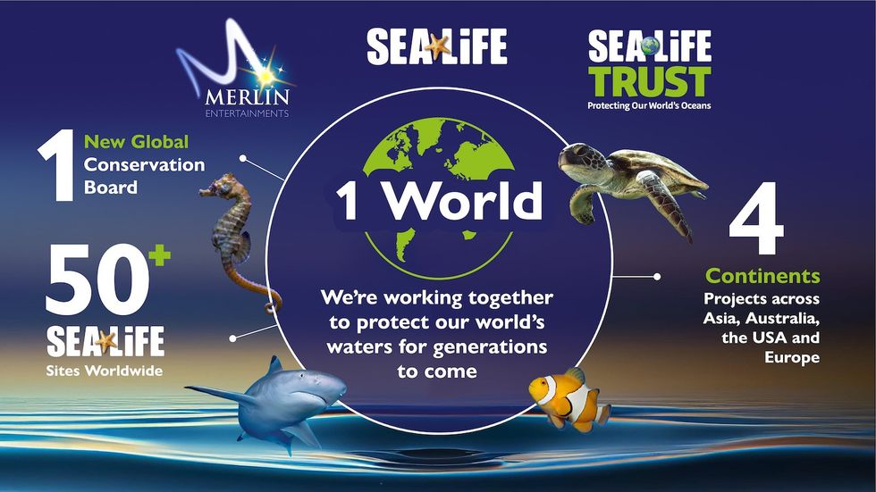 merlin sea life marine conservation