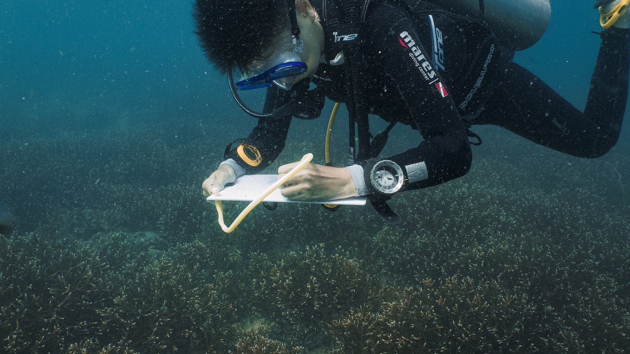merlin sea life marine conservation