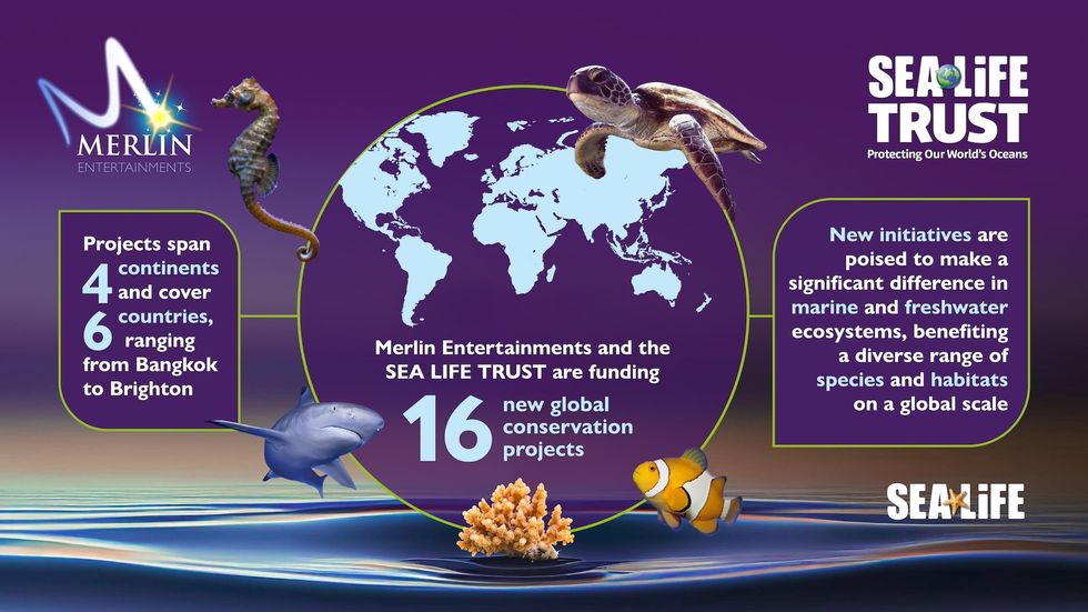 merlin sea life trust conservation