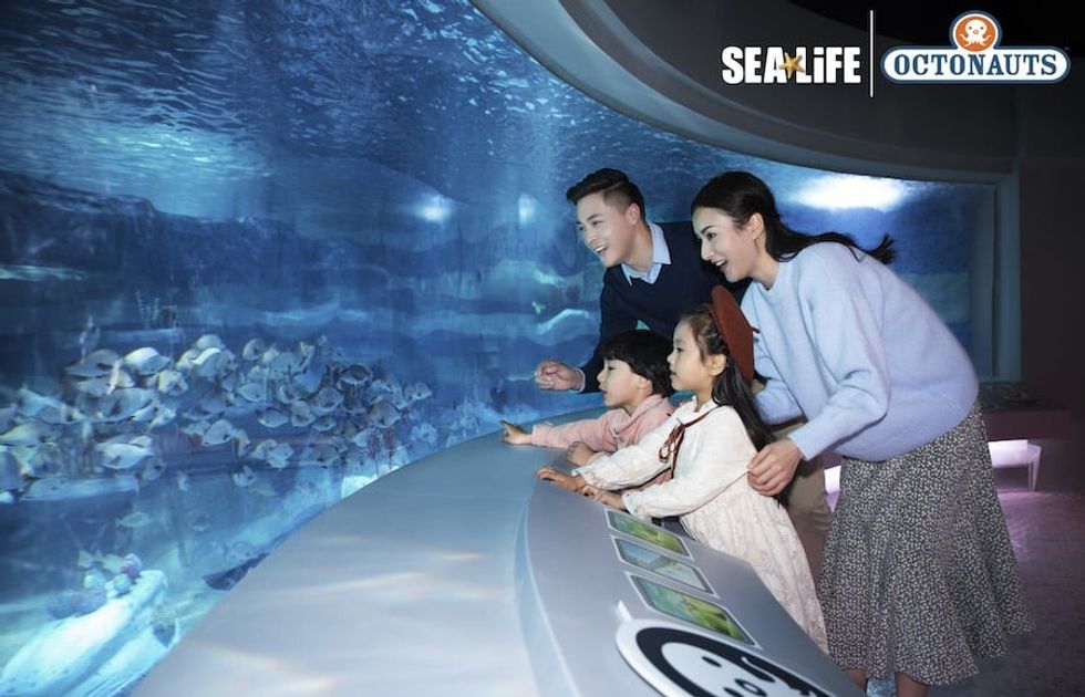 Merlin Silvergate SEALIFE Octonauts