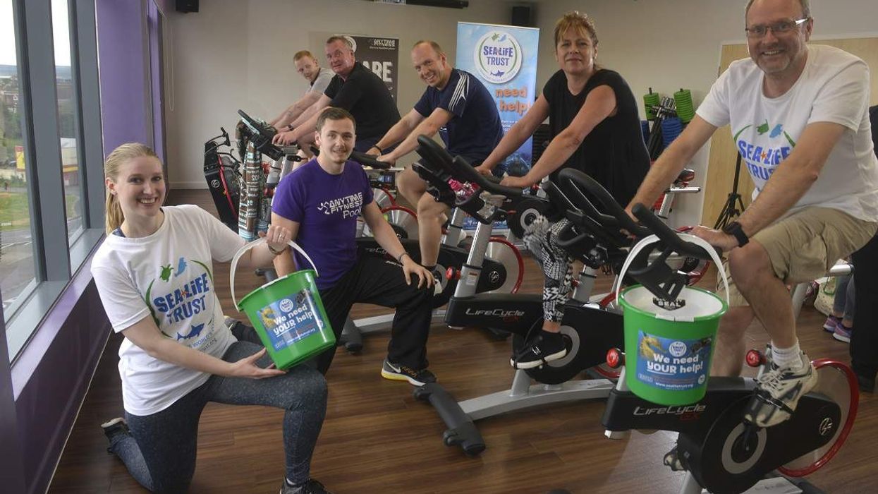 Merlin Staff's Marathon Effort Gives Hope to Struggling Sea Turtles