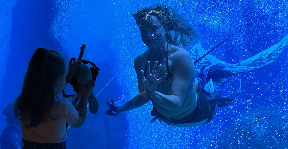 Mermaids Adventure Aquarium