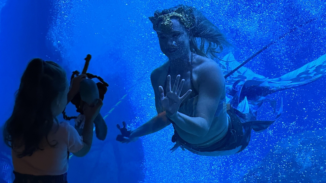 Mermaids Adventure Aquarium