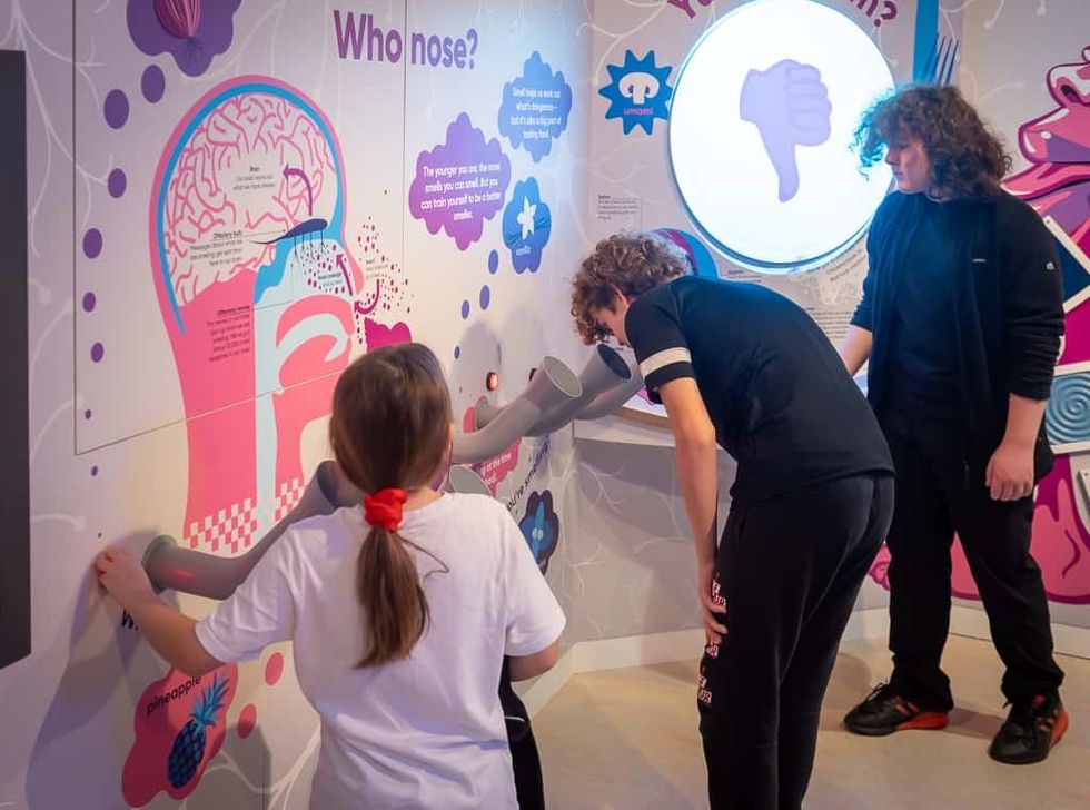 Merseyside's new Science + Discovery museum -  'Who Nose' interactive