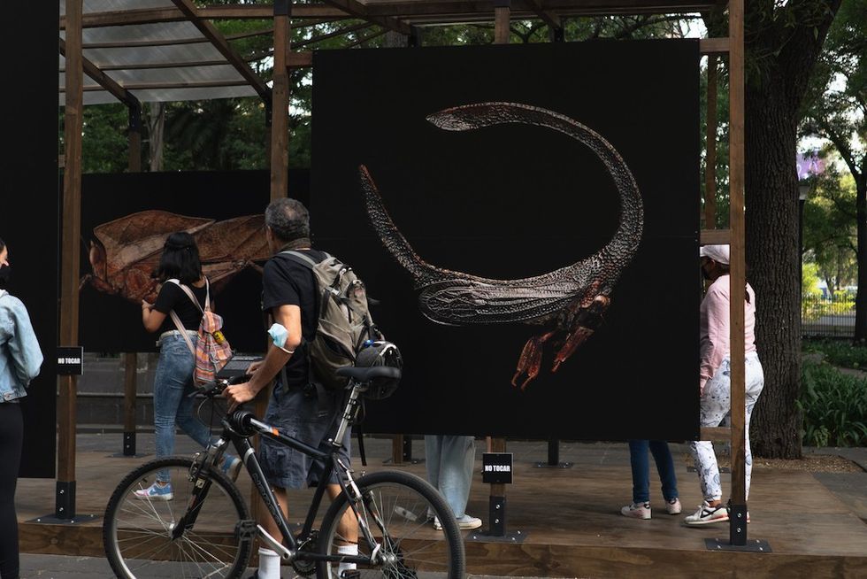 Mexico City Microsculpture