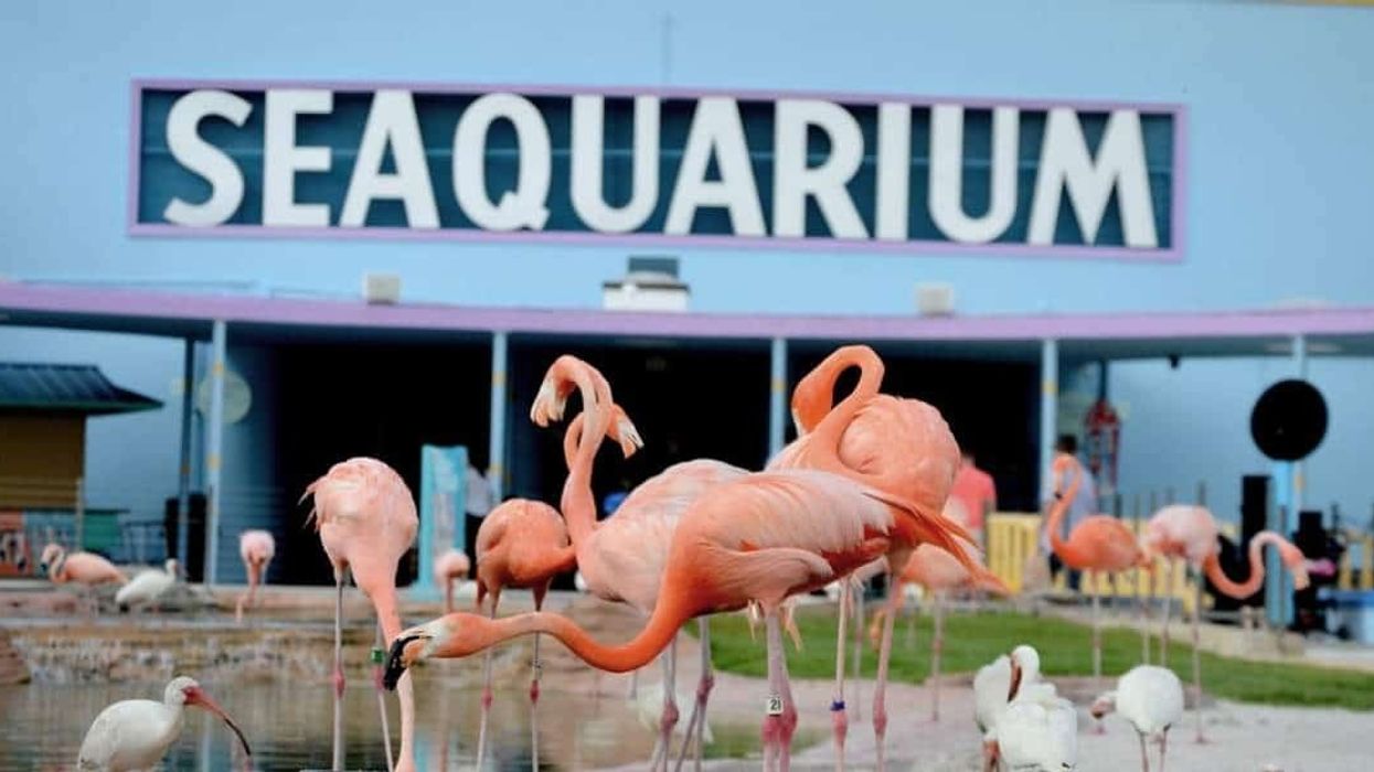 miami seaquarium