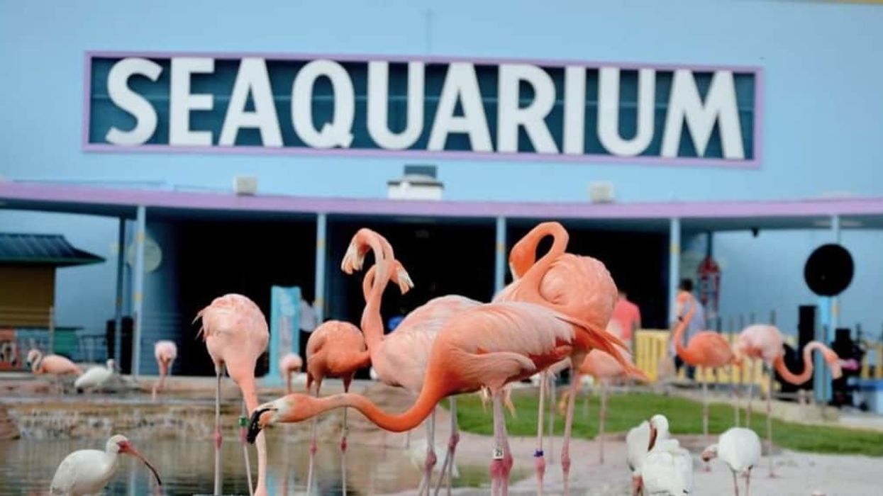miami seaquarium