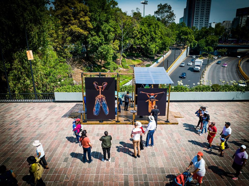 Microsculpture exhibition Mexico City