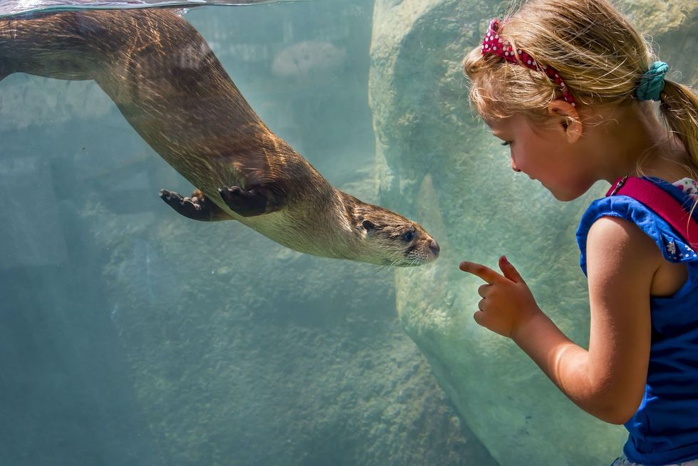Milwaukee County Zoo otter passage