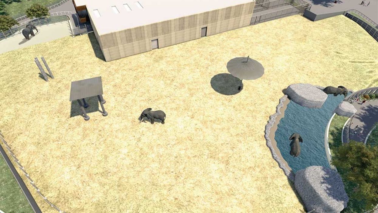 Milwaukee Zoo Windows to the Wild elephant enclosure