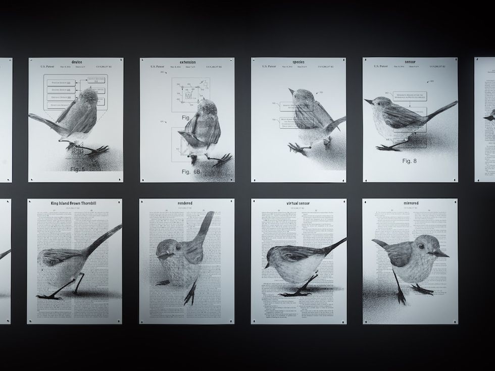 Mine exhibition at Mona