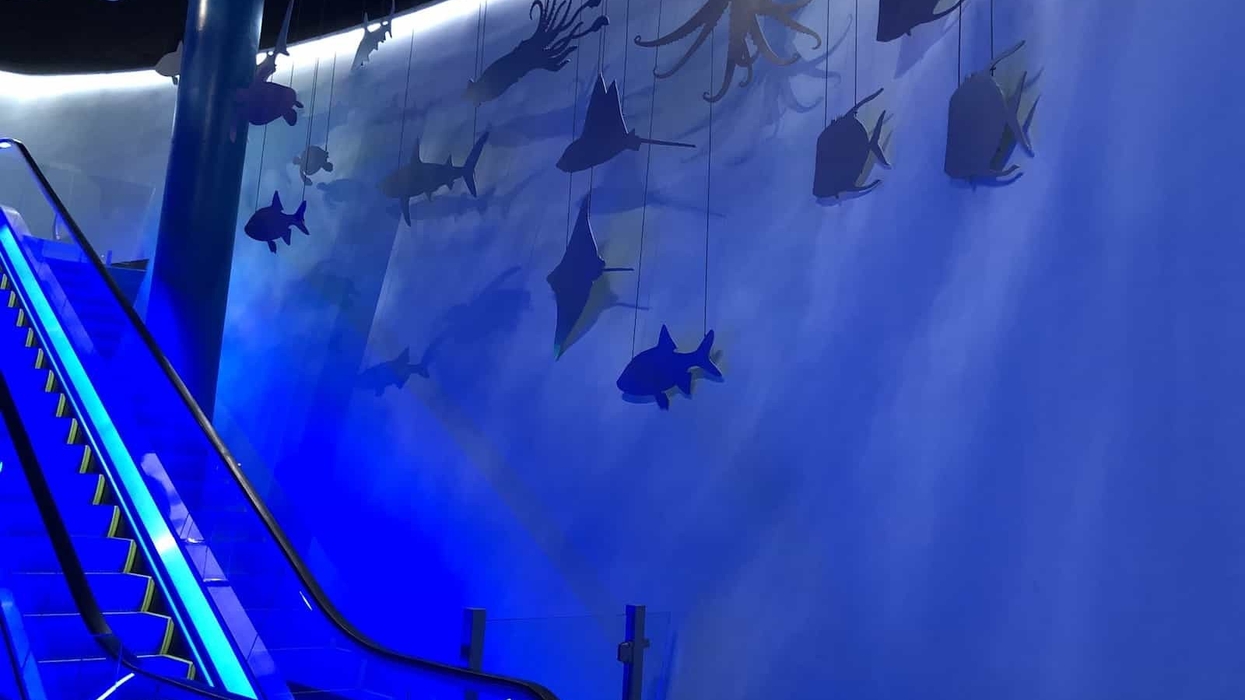 Mississippi aquarium escalator