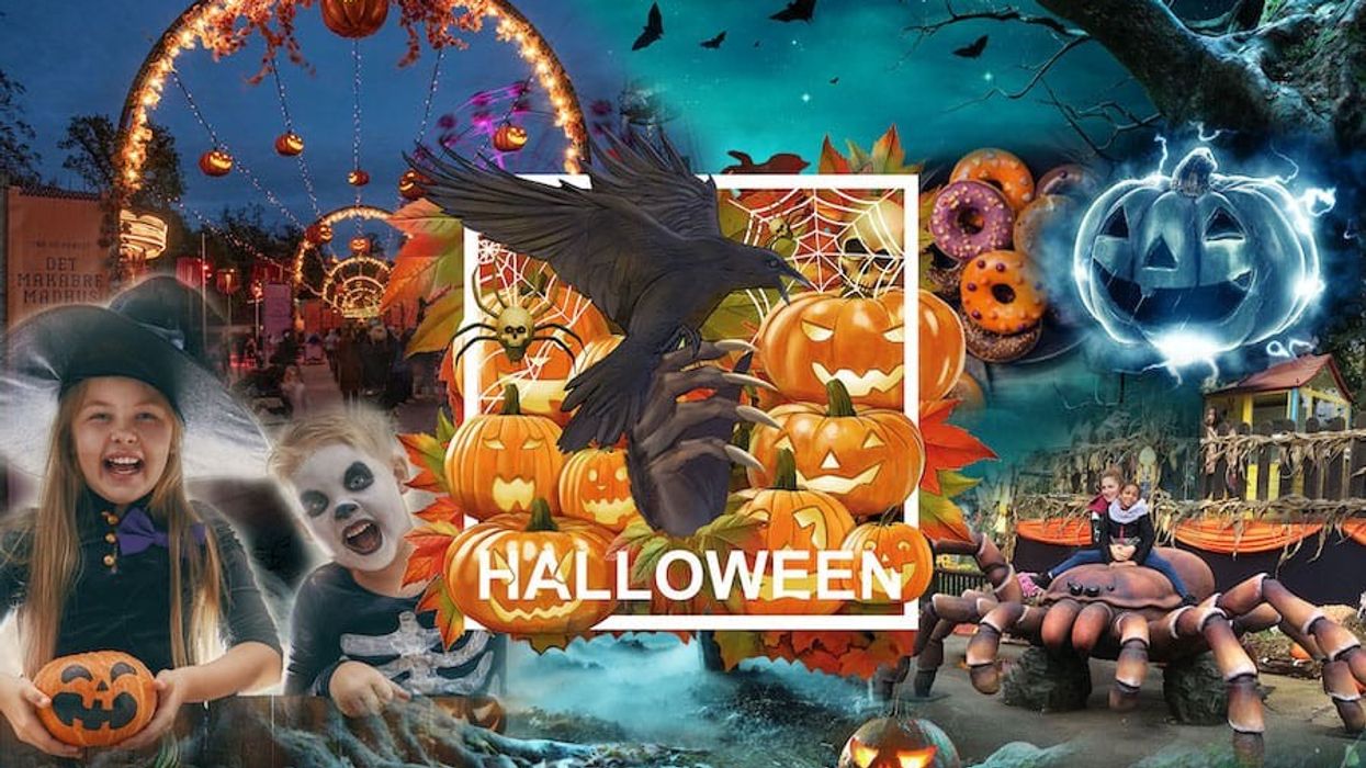 MK Themed Attractions Halloween-2020 catalogue
