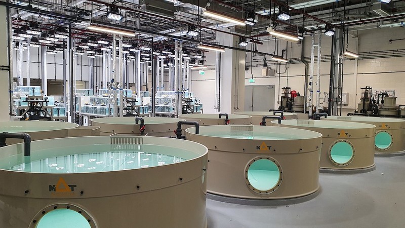 Large Aquarium Filtration Systems - Aquarium Filtration Systems With Adjustable Intensity