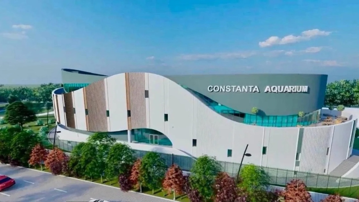 Modern building with wavy design, labeled "Constanta Aquarium," surrounded by trees.