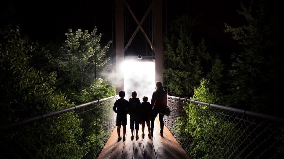 Moment Factory Foresta Lumina people in forest