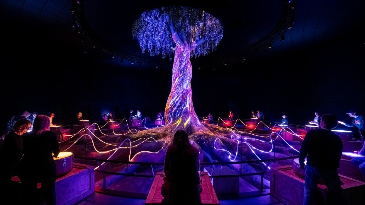 Moment Factory La Serre des Mondes at Futuroscope