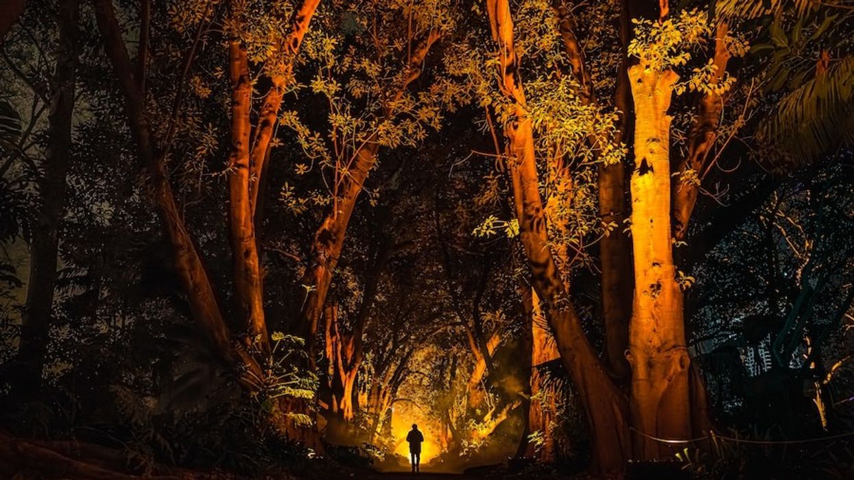 Moment Factory_Light Cycles Illuminate Adelaide