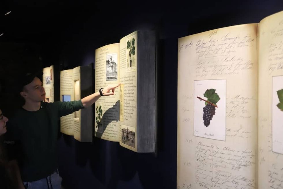 Mon-Beaujolais-HAMEAU-DUBOEUF-Preshow