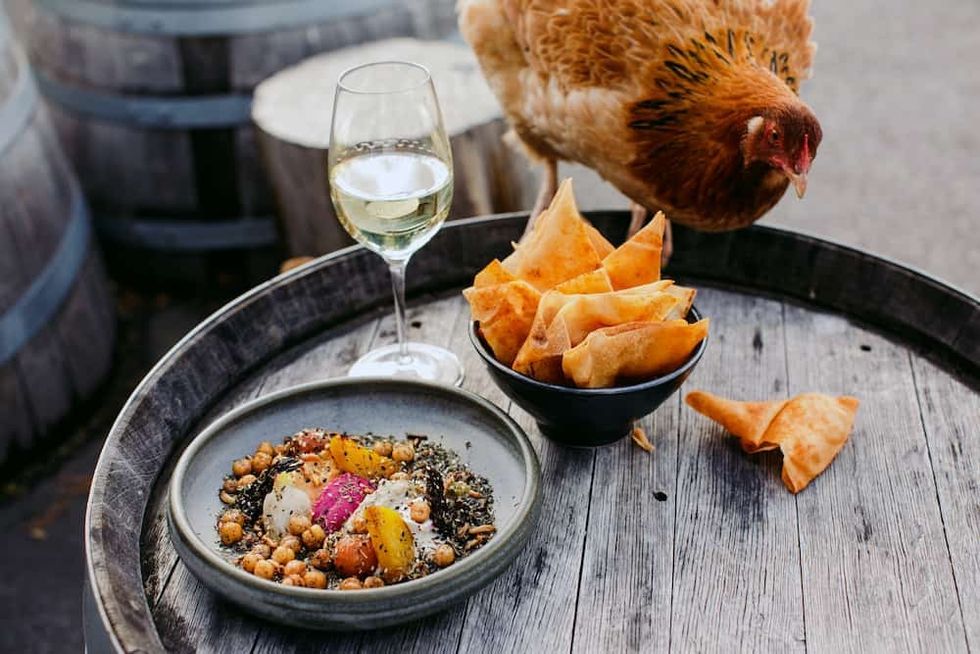 MONA unconventional museum